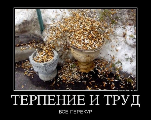 Демотиваторы про четверг смешные