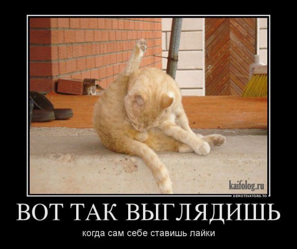 Когда коту дела ь нечего