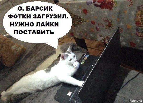 Приколы про лайки
