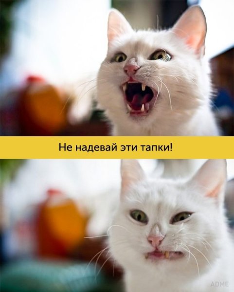 Не ходи туда