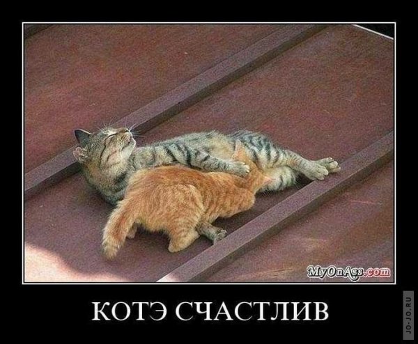 Картинки хочешь меня смешные