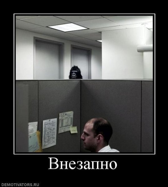 Мемы демотиваторы