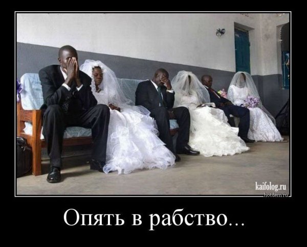 Приколы про женитьбу