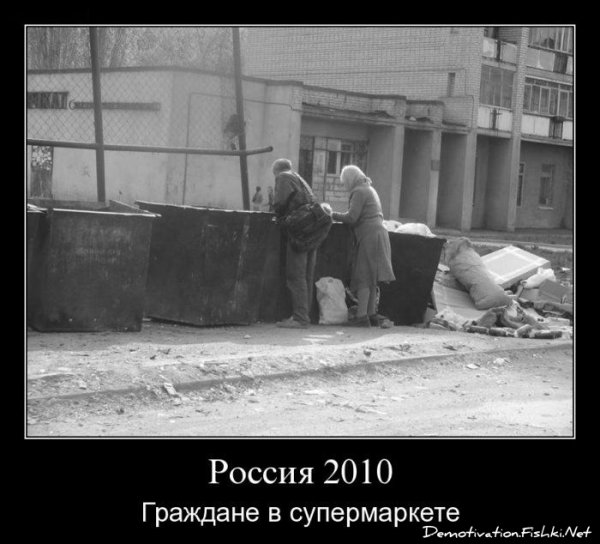 Демотиваторы про супермаркет