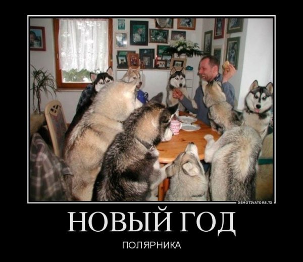 Дед Мороз прикол