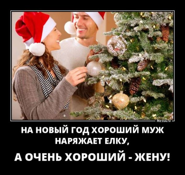 Демотиваторы про новый год