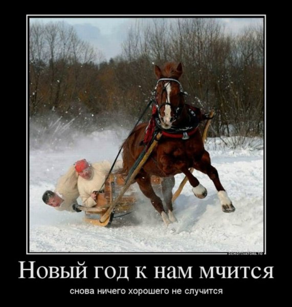 Демотиваторы про новый год