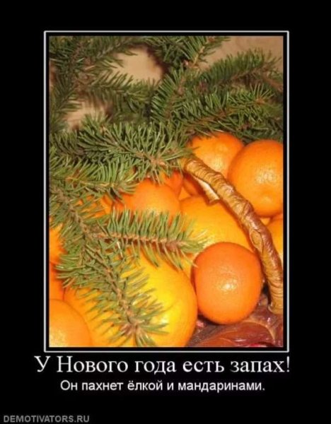 Прикольные демотиваторы