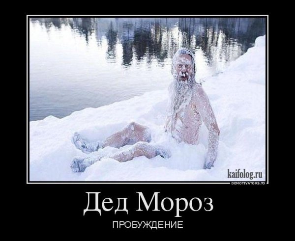 Демотиваторы про новый год