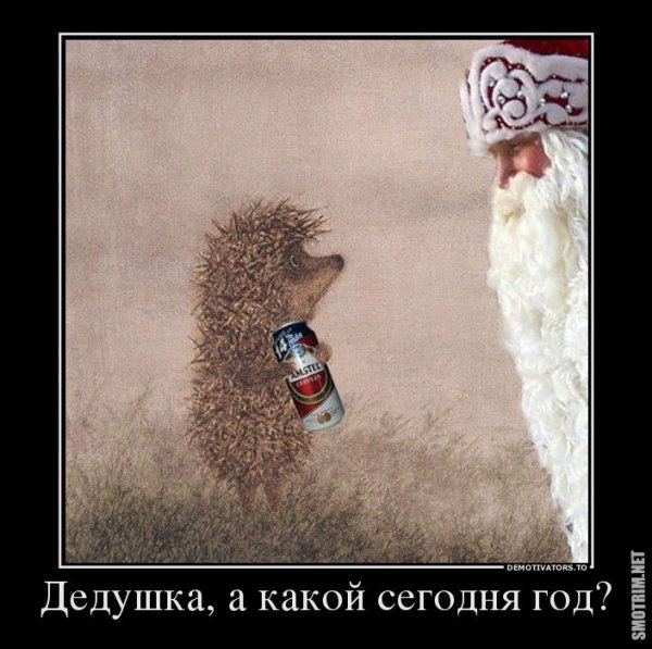 Демотиваторы про новый год
