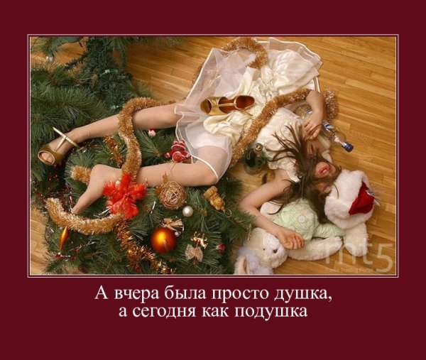 Новогоднее настроение прикол