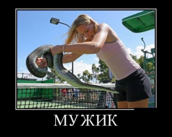 Змея демотиватор
