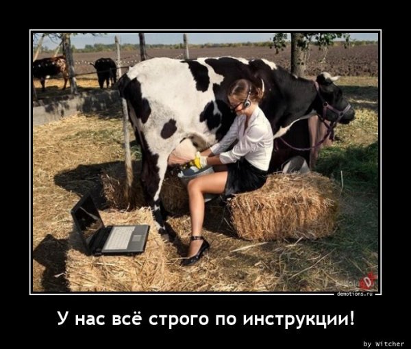 Демотиваторы ржачные свежие