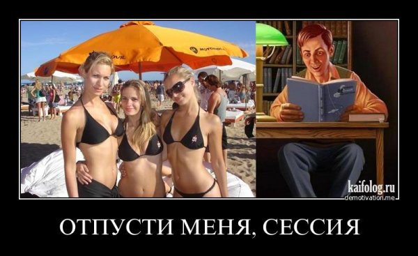 Kaifolog для мужчин