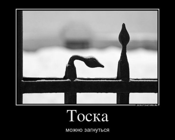 Смешные истории демотиваторы