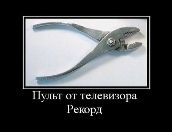 Чак Норрис демотиваторы