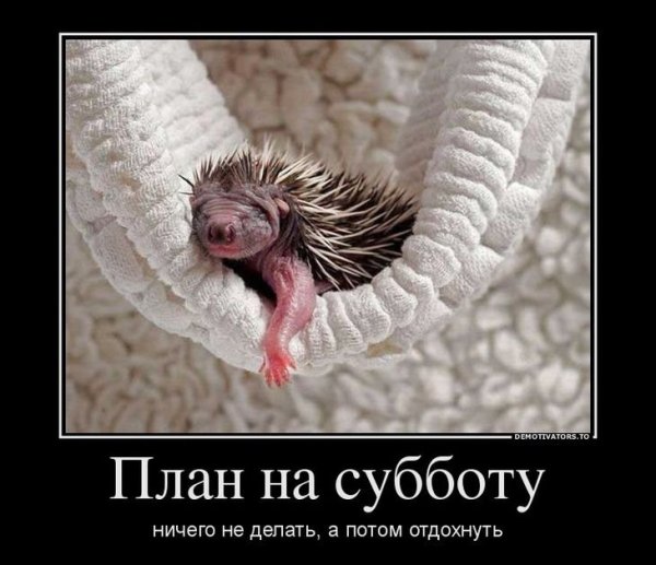 Демотиватор рамка