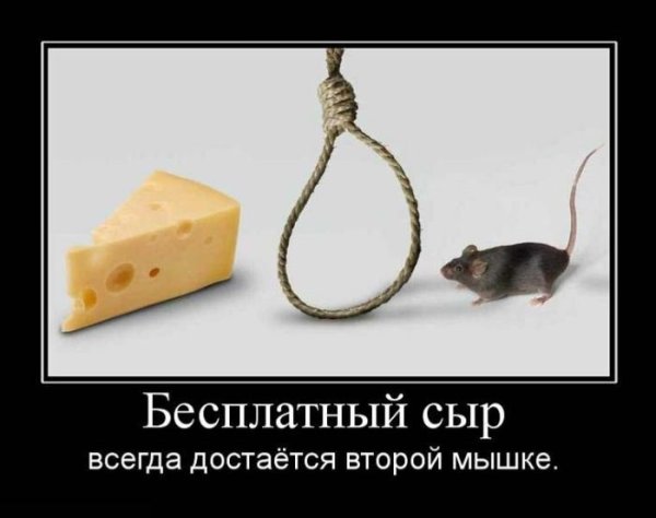 Демотиватор долгое ожидание