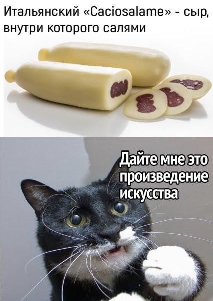 Сыр прикол