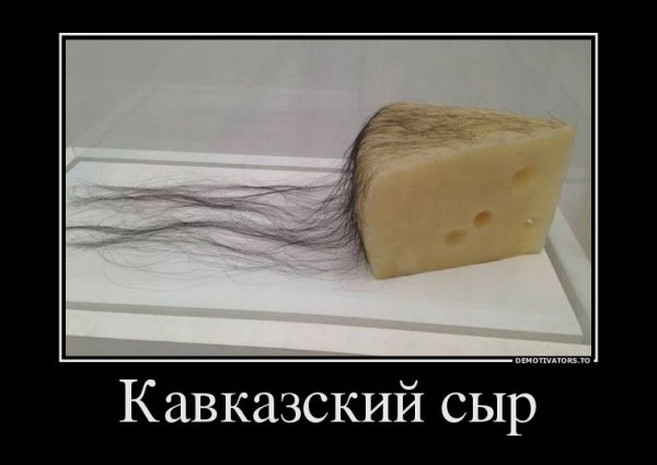 Шутки про сыр