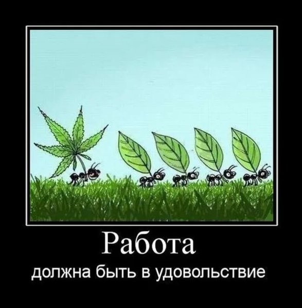 Работа должна приносить радость