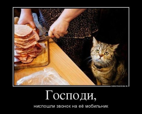 Демотиваторы смешные