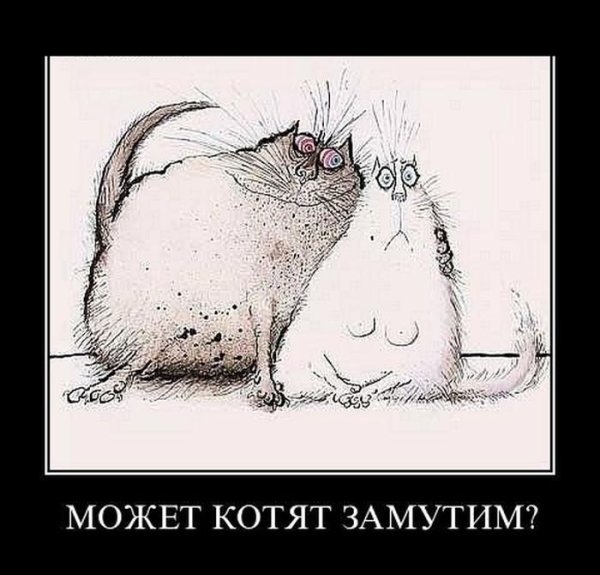 Главное в жизни