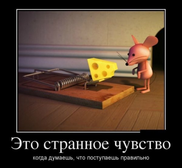 Демотиваторы про лето ржачные