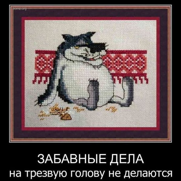Демотиваторы смешные со смыслом