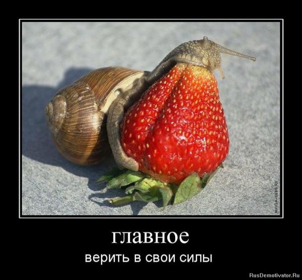 И пусть судьба несправедлива но жизнь игра играй красиво