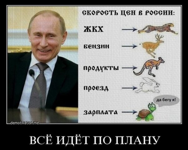 Рост цен на продукты прикол