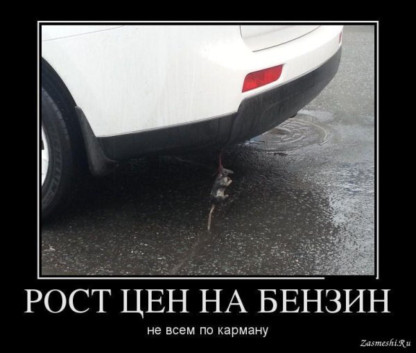 Бензин демотиваторы
