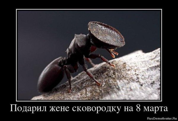 Демотиваторы смешные про учителей