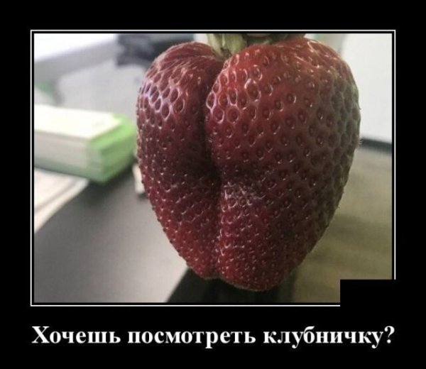 Демотиваторы 2019