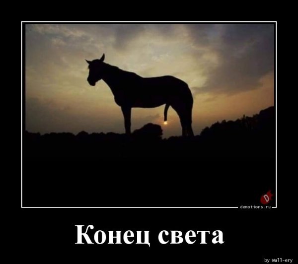 Смешные демотиваторы 2019 про животных
