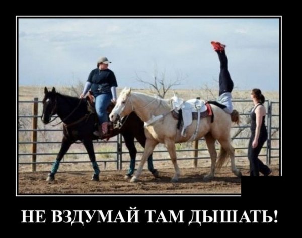 Мотиваторы смешные