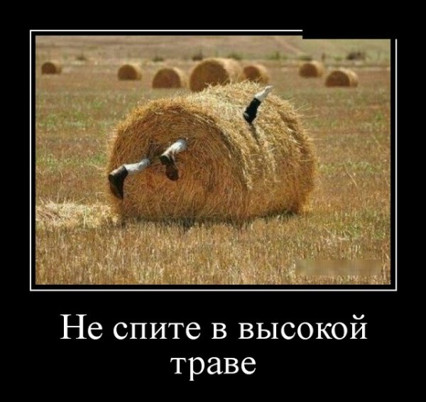 Прикольные демотиваторы 2019