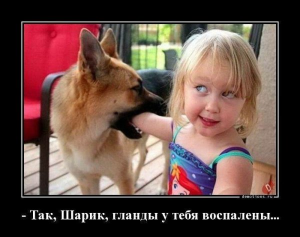 В горе и в радости в богатстве и в бедности в болезни