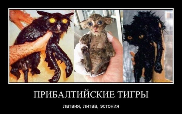 Демотиваторы смешные 2019