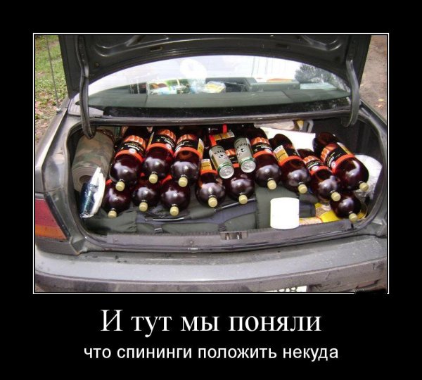 Демотиваторы свежие прикольные