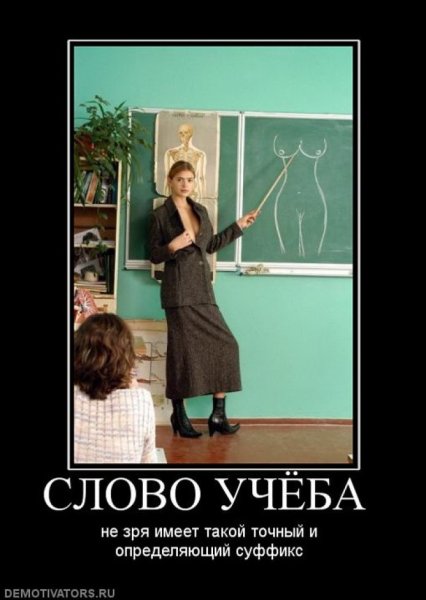 Приколы про учебу