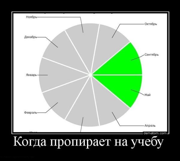 Демотиваторы учеба смешные