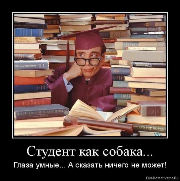 Приколы про студентов