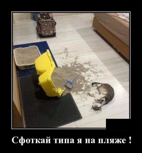 БУГАГА демотиваторы