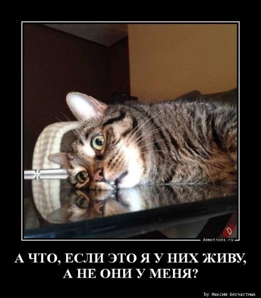 БУГАГА приколы