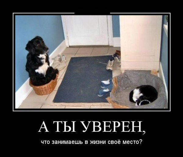 Демотиваторы про охрану