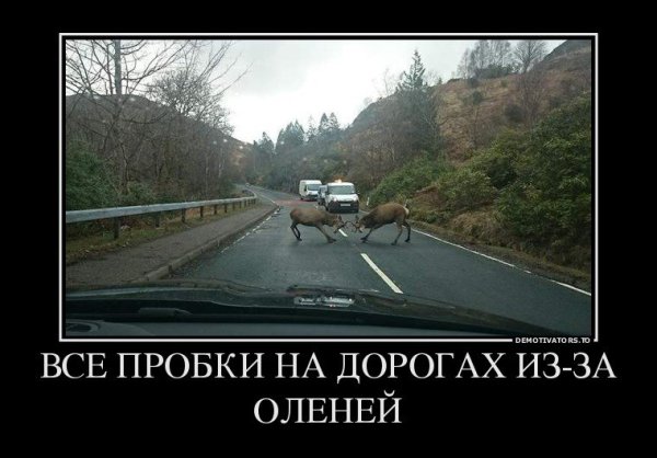 БУГАГА демотиваторы