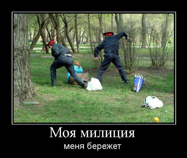 Полиция демотиваторы