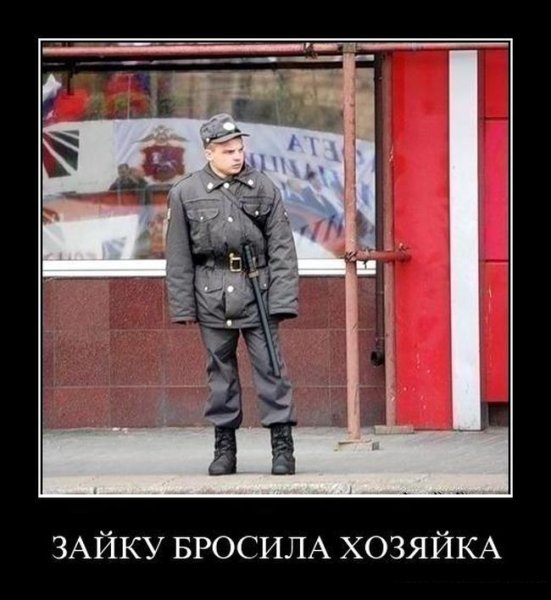 Демотиваторы про милицию