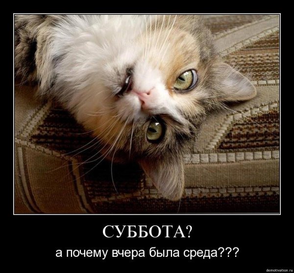 Демотиваторы про утро субботы
